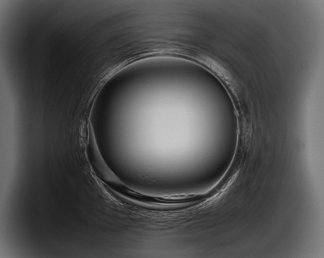X0000097961001200803241210