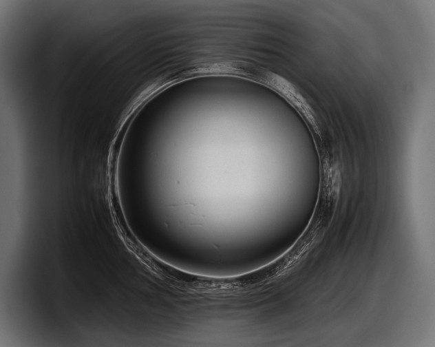 X0000097961002200803241210