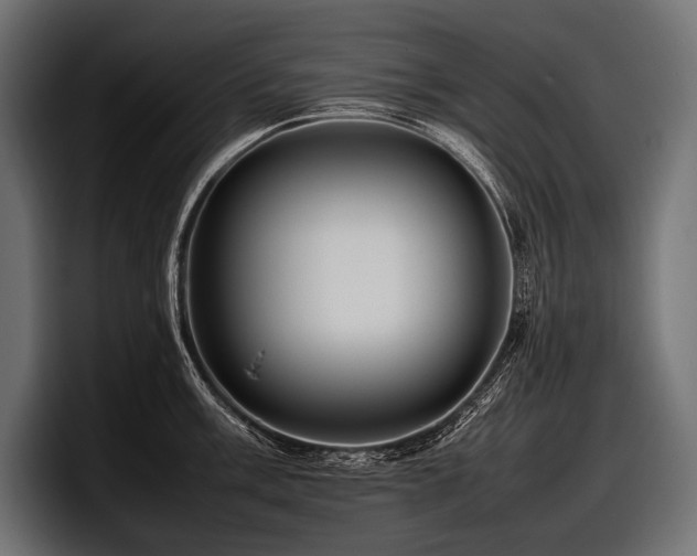 X0000097961003200803241210