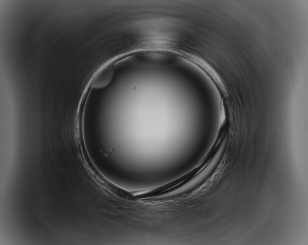 X0000097961004200803241210