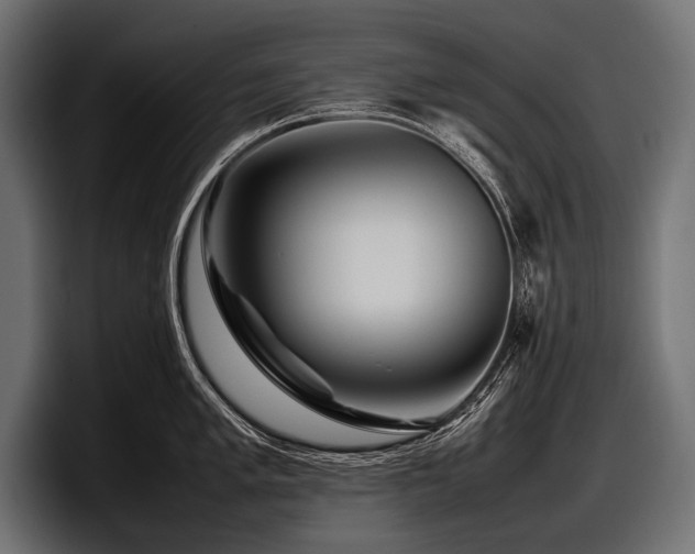 X0000097961005200803241210