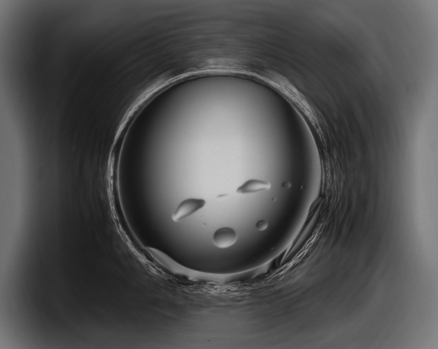 X0000097961006200803241210