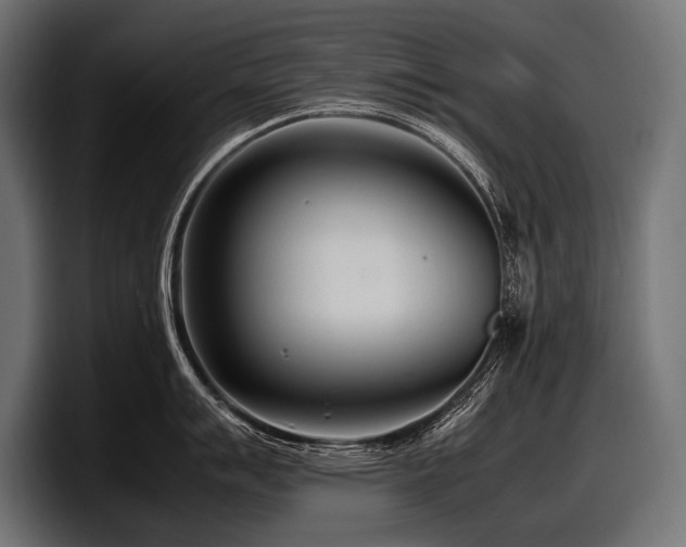 X0000097961007200803241210