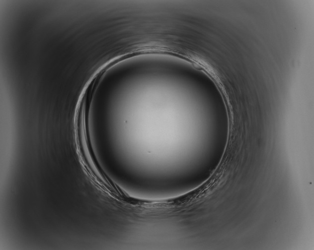 X0000097961008200803241210