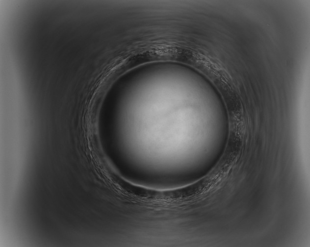 X0000097961009200803241209