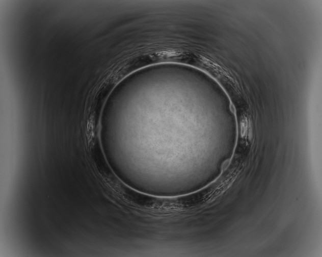X0000097961011200803241209