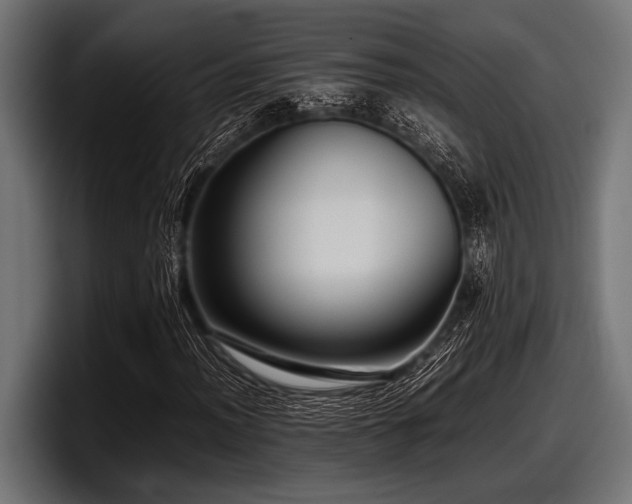 X0000097961012200803241209