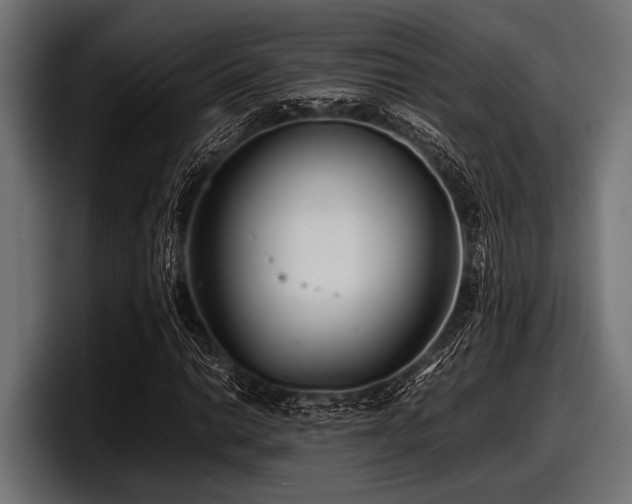 X0000097961014200803241209