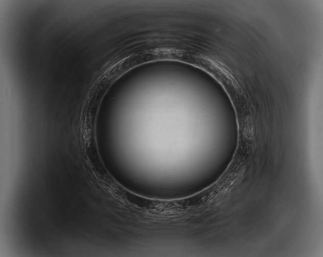 X0000097961015200803241209