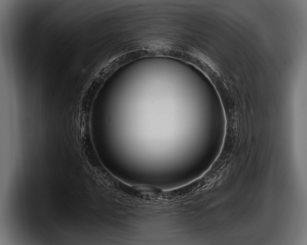 X0000097961016200803241209