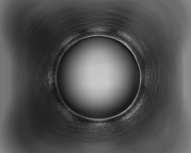 X0000097961017200803241209