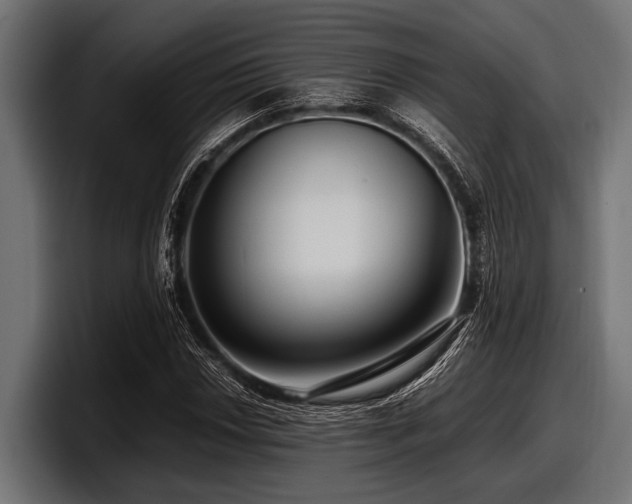 X0000097961018200803241209