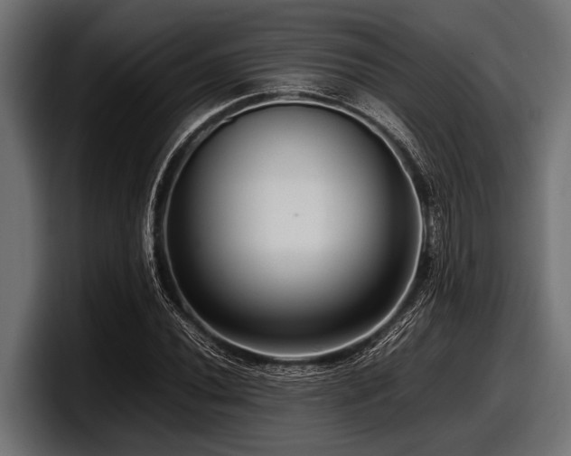 X0000097961020200803241209
