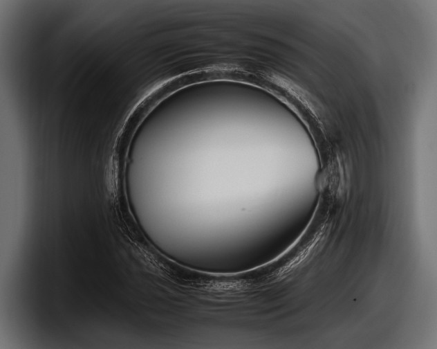 X0000097961021200803241209