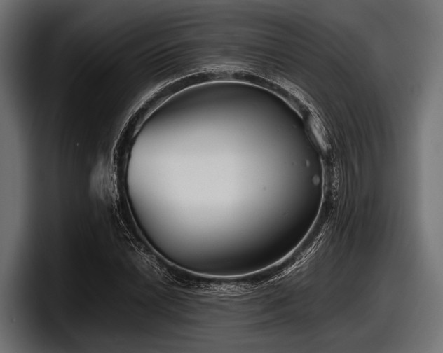 X0000097961022200803241209