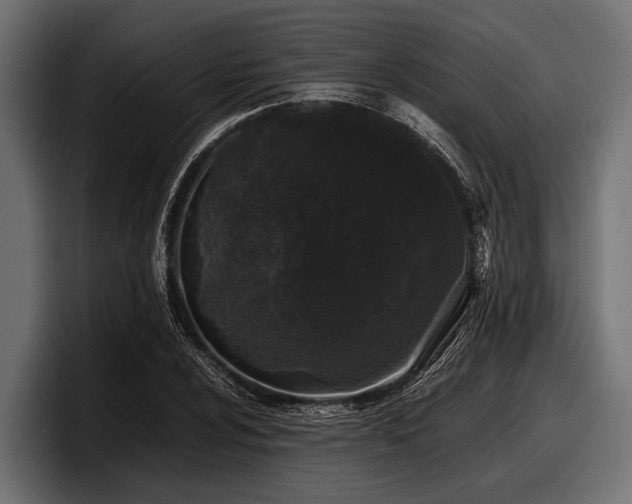 X0000097961024200803241210