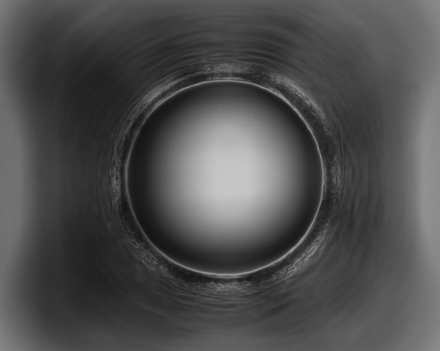 X0000097961025200803241210