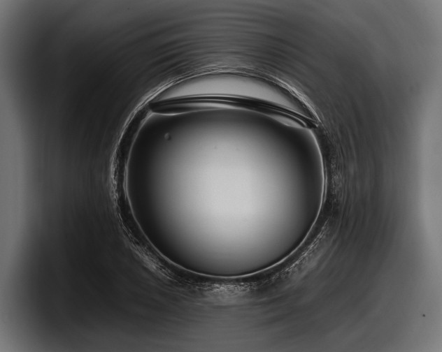 X0000097961026200803241210