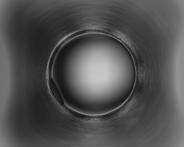 X0000097961028200803241210