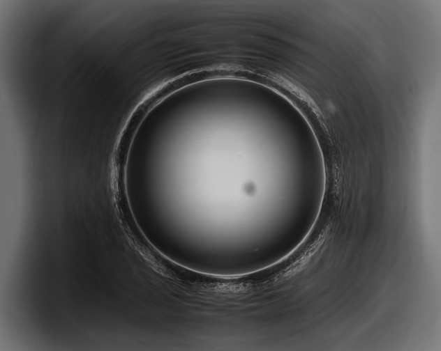 X0000097961029200803241210