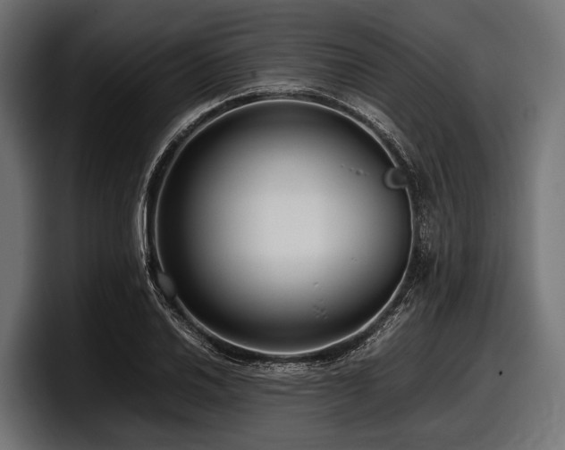 X0000097961030200803241210