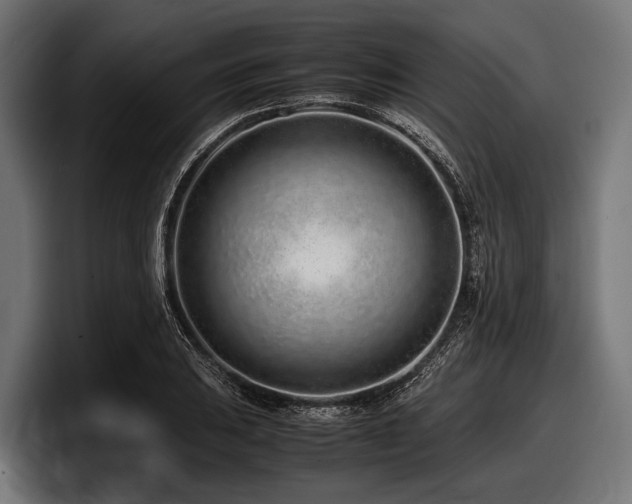 X0000097961031200803241210