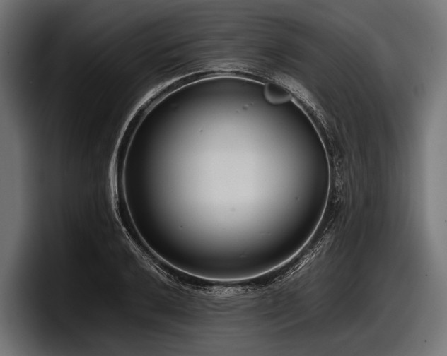 X0000097961032200803241210