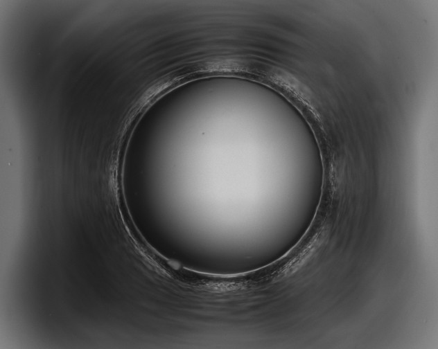 X0000097961033200803241210
