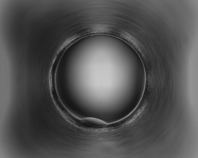 X0000097961034200803241210
