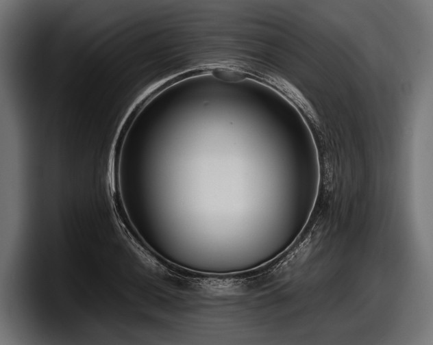 X0000097961036200803241210