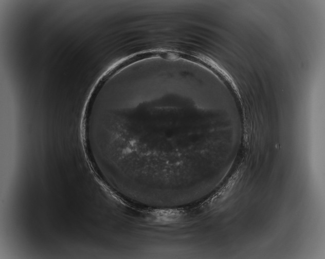 X0000097961037200803241210