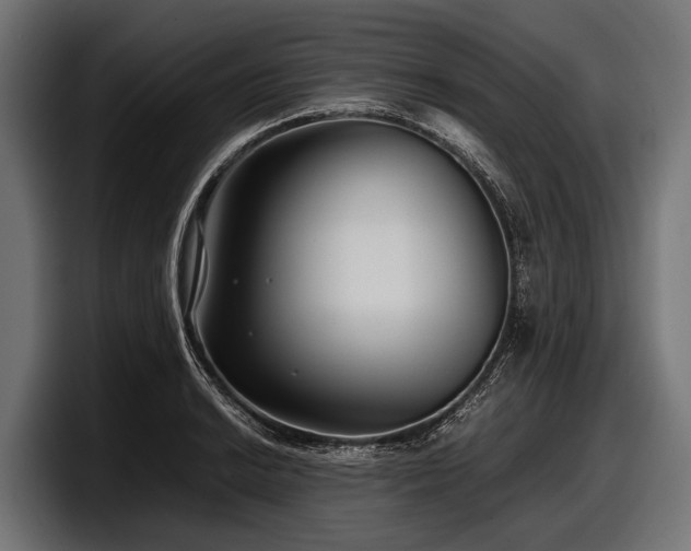X0000097961038200803241210