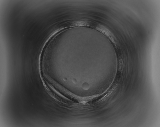 X0000097961039200803241210