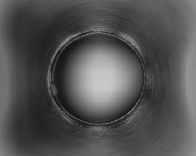 X0000097961040200803241210