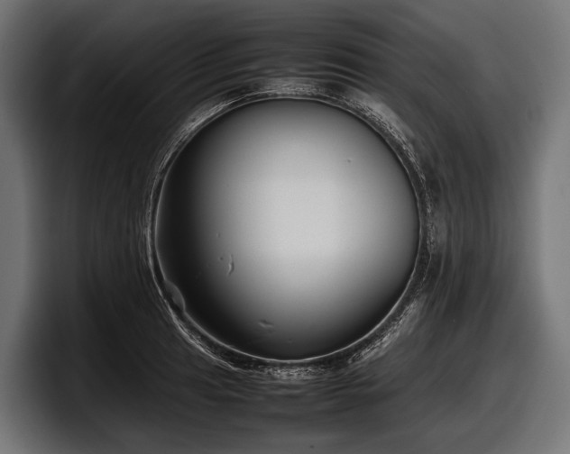X0000097961041200803241210