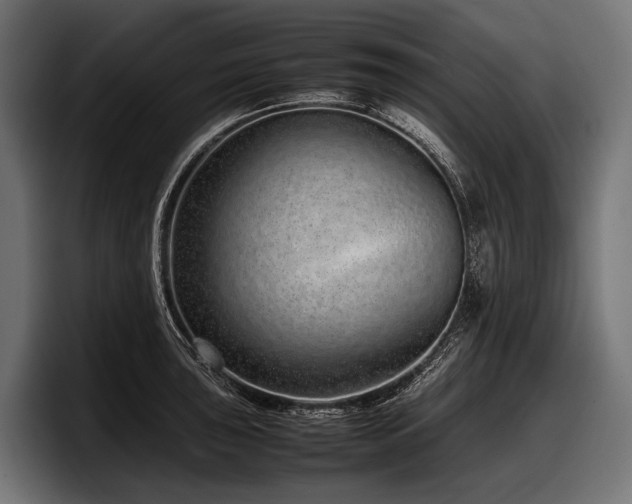X0000097961043200803241210