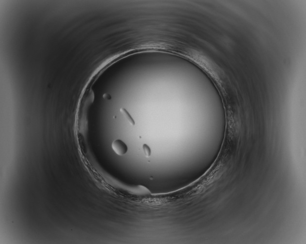 X0000097961044200803241210
