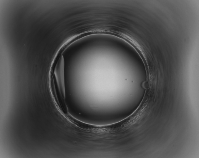 X0000097961045200803241210