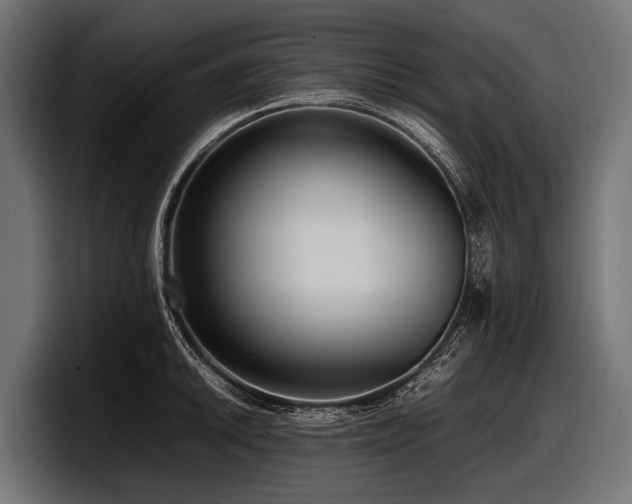 X0000097961046200803241210