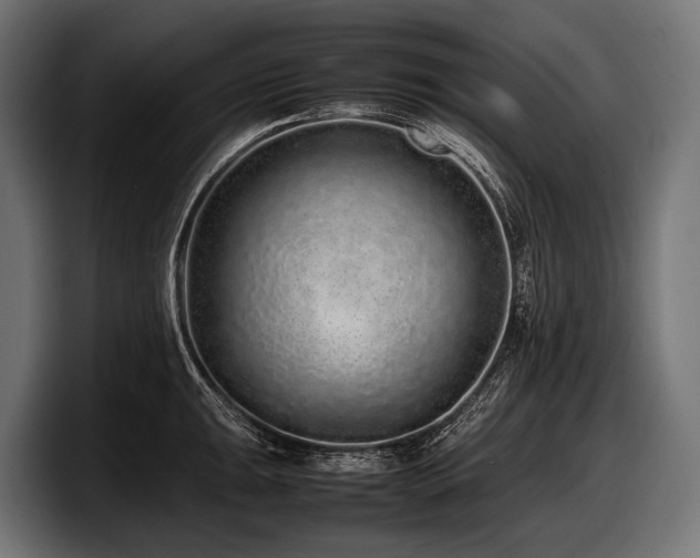 X0000097961047200803241210