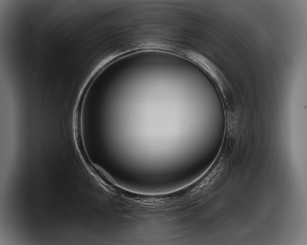 X0000097961048200803241210