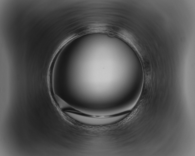 X0000097961050200803241210