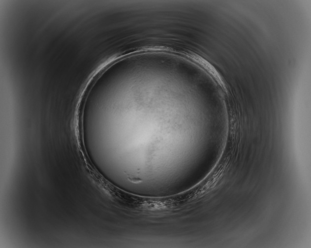 X0000097961051200803241210