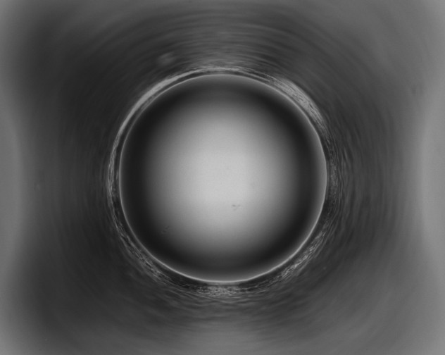 X0000097961052200803241210