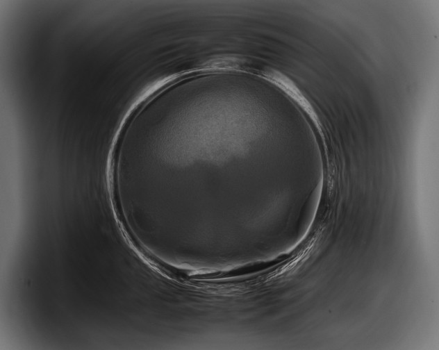 X0000097961053200803241210