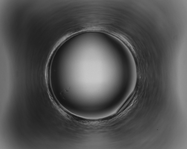 X0000097961054200803241210