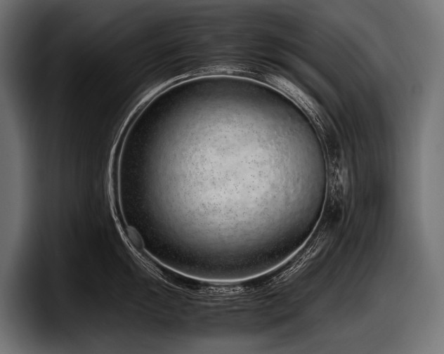 X0000097961055200803241210