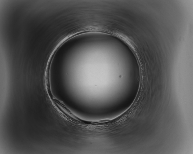 X0000097961056200803241210