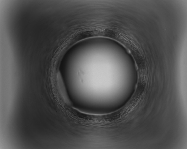X0000097961057200803241209