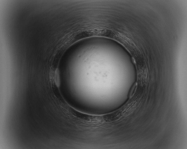 X0000097961058200803241209